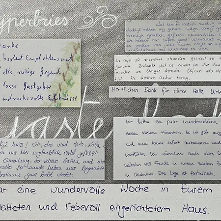 Zijperbries * Oudesluis (North Holland)