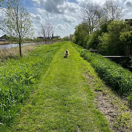 Zijperbries Oudesluis (North Holland)