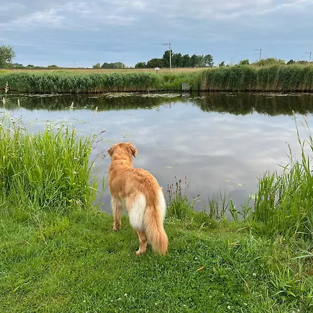 Zijperbries בית נופש