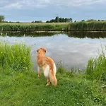 Zijperbries Сasa de vacaciones